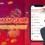 Daman Games Complaint Number: Your Official Guide to Support